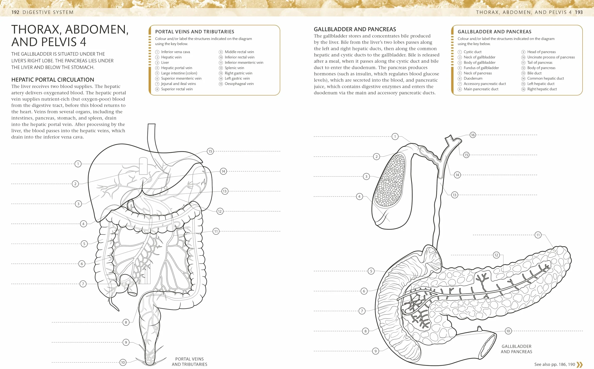 The Human Body Colouring Book: The Ultimate Anatomy Study Guide