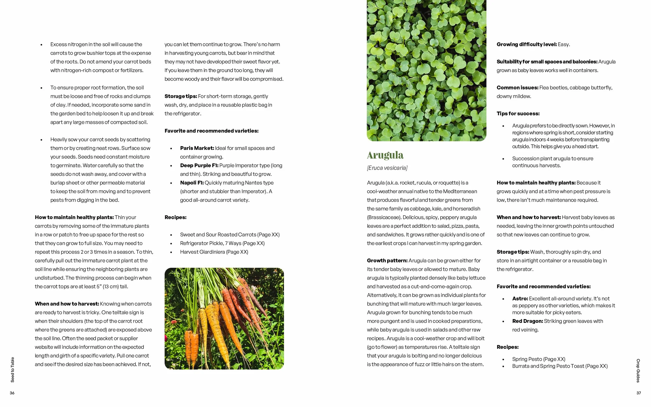 Seed to Table: A Seasonal Guide to Organically Growing, Cooking, and Preserving Food at Home (Kitchen Garden, Urban Gardening)