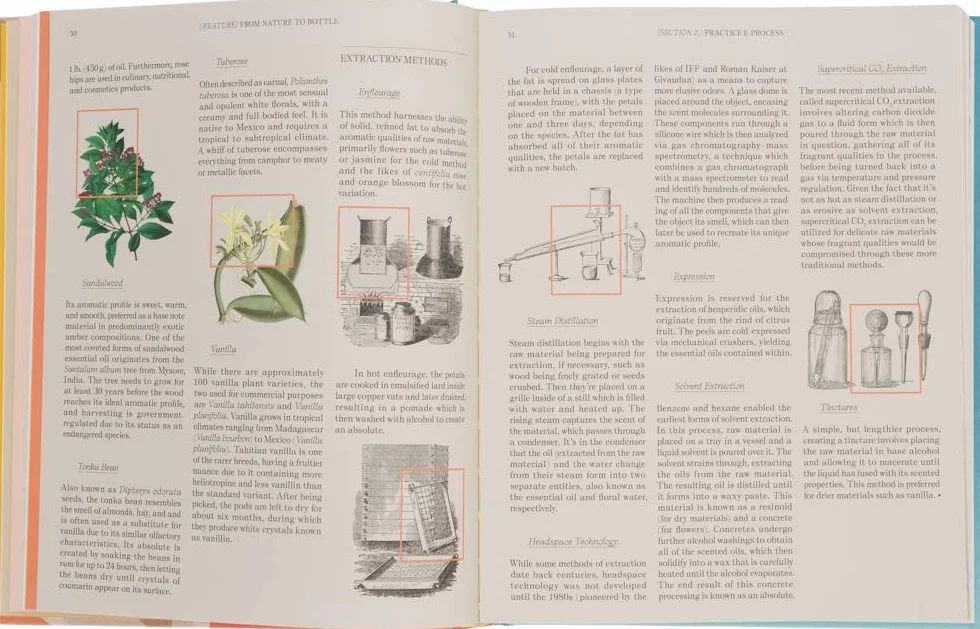 The Essence: Discovering the World of Scent, Perfume & Fragrance