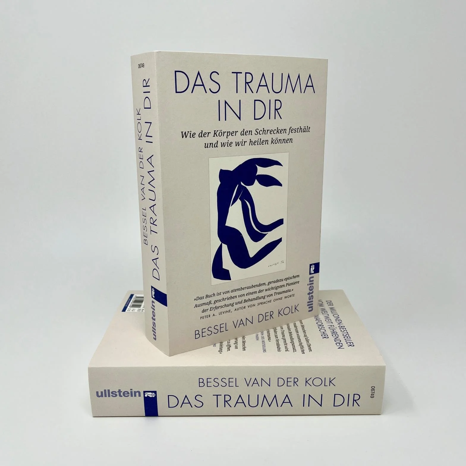 Das Trauma in dir: Wie der Körper den Schrecken festhält und wie wir heilen können | Verkörperter Schrecken Taschenbuch