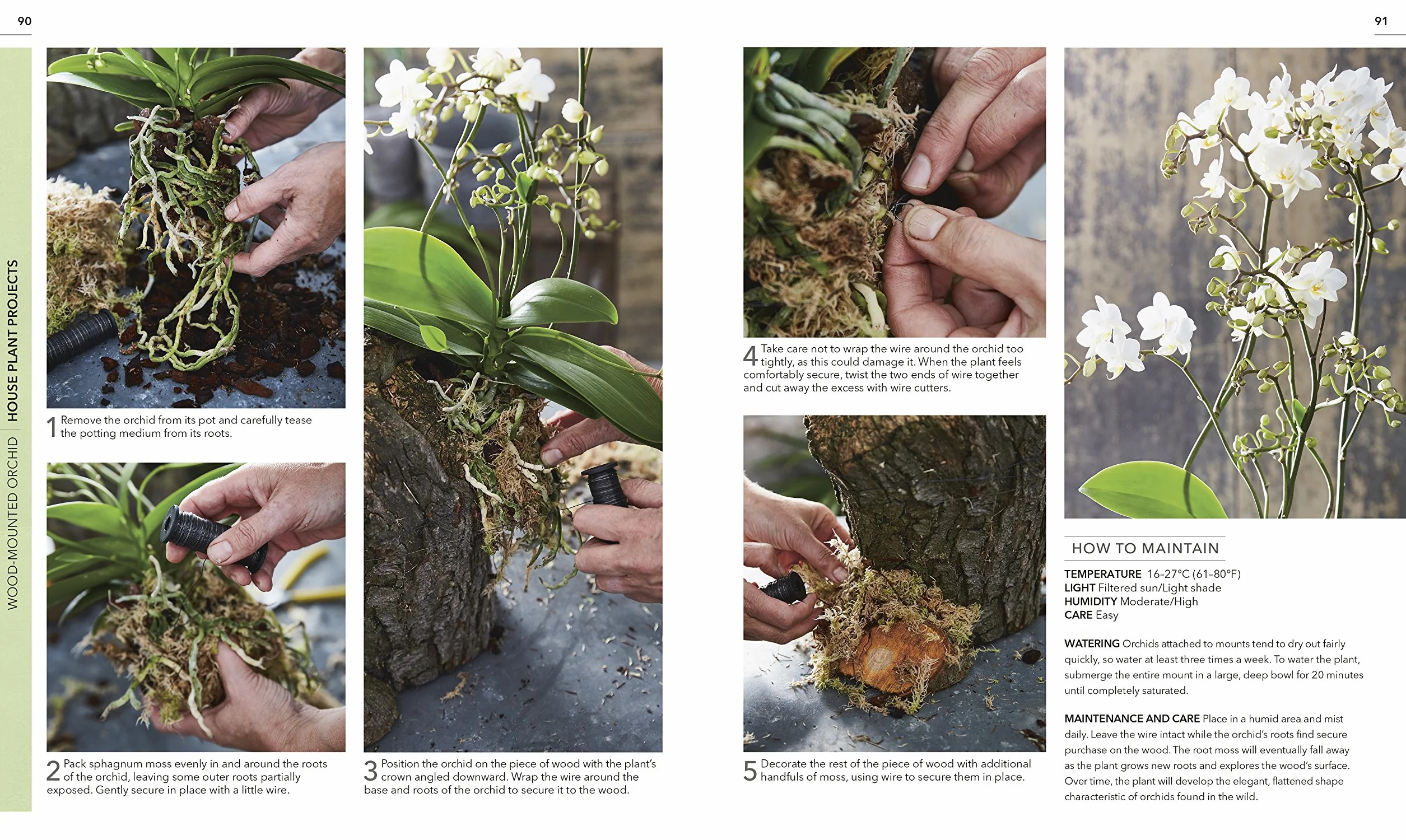 RHS Practical House Plant Book: 175 Plant Profiles, Choose, Display, Nurture & Care