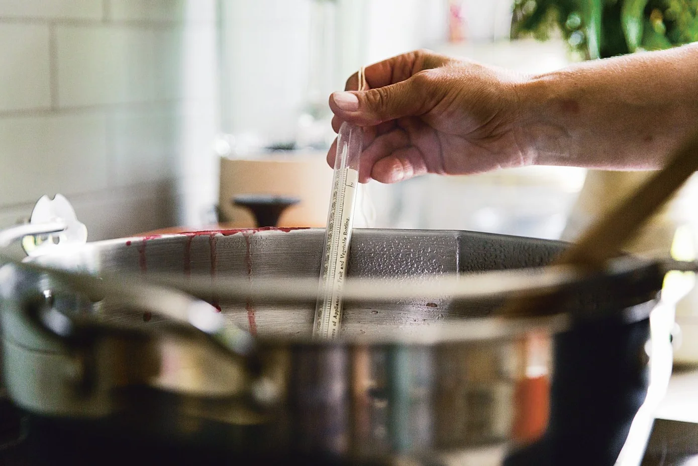 The Modern Preserver: Seasonal Cookbook