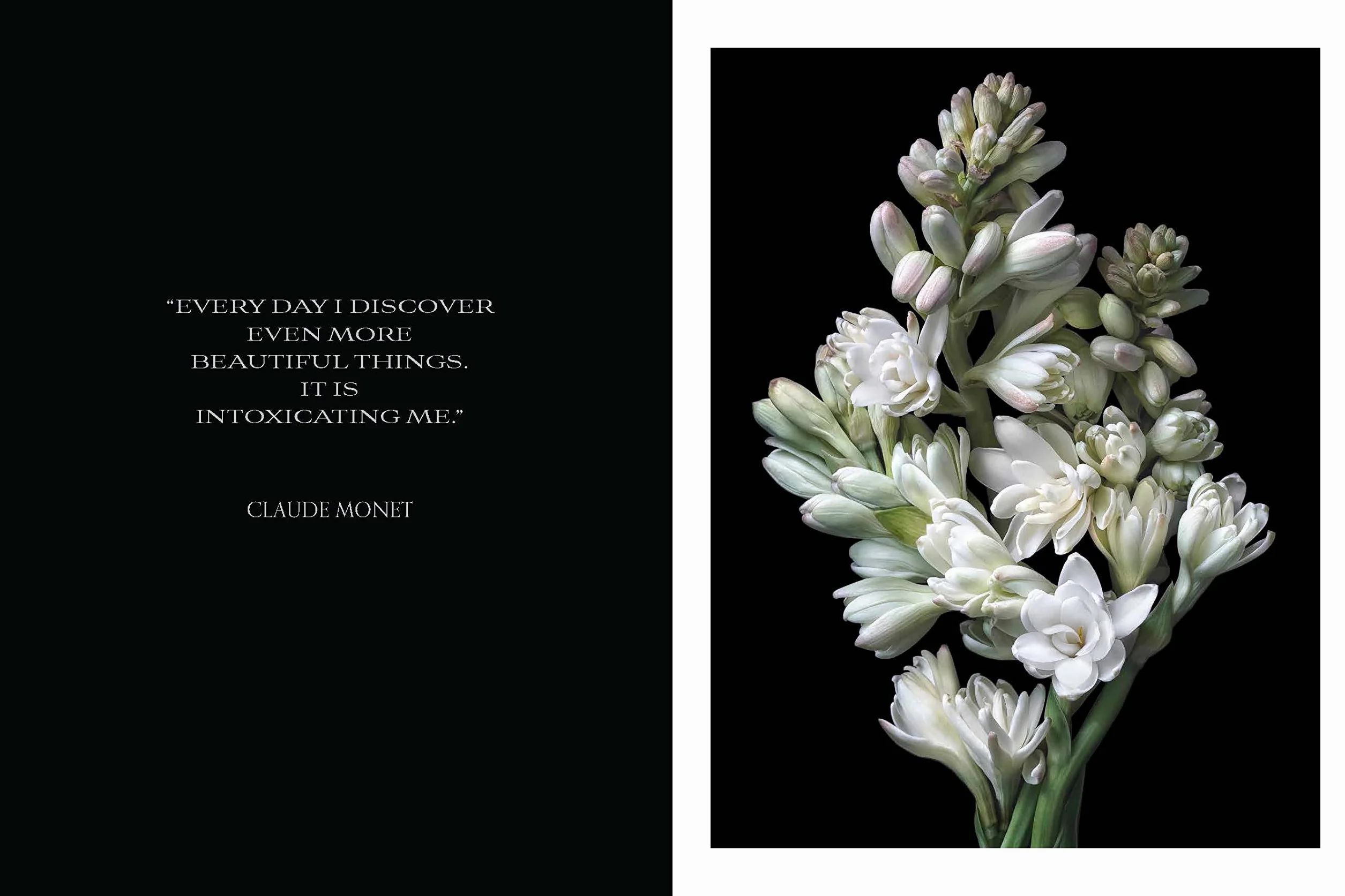 Beauty in Bloom: Floral Portraits