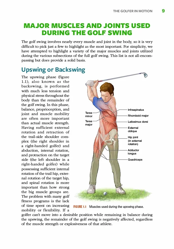 Golf Anatomy