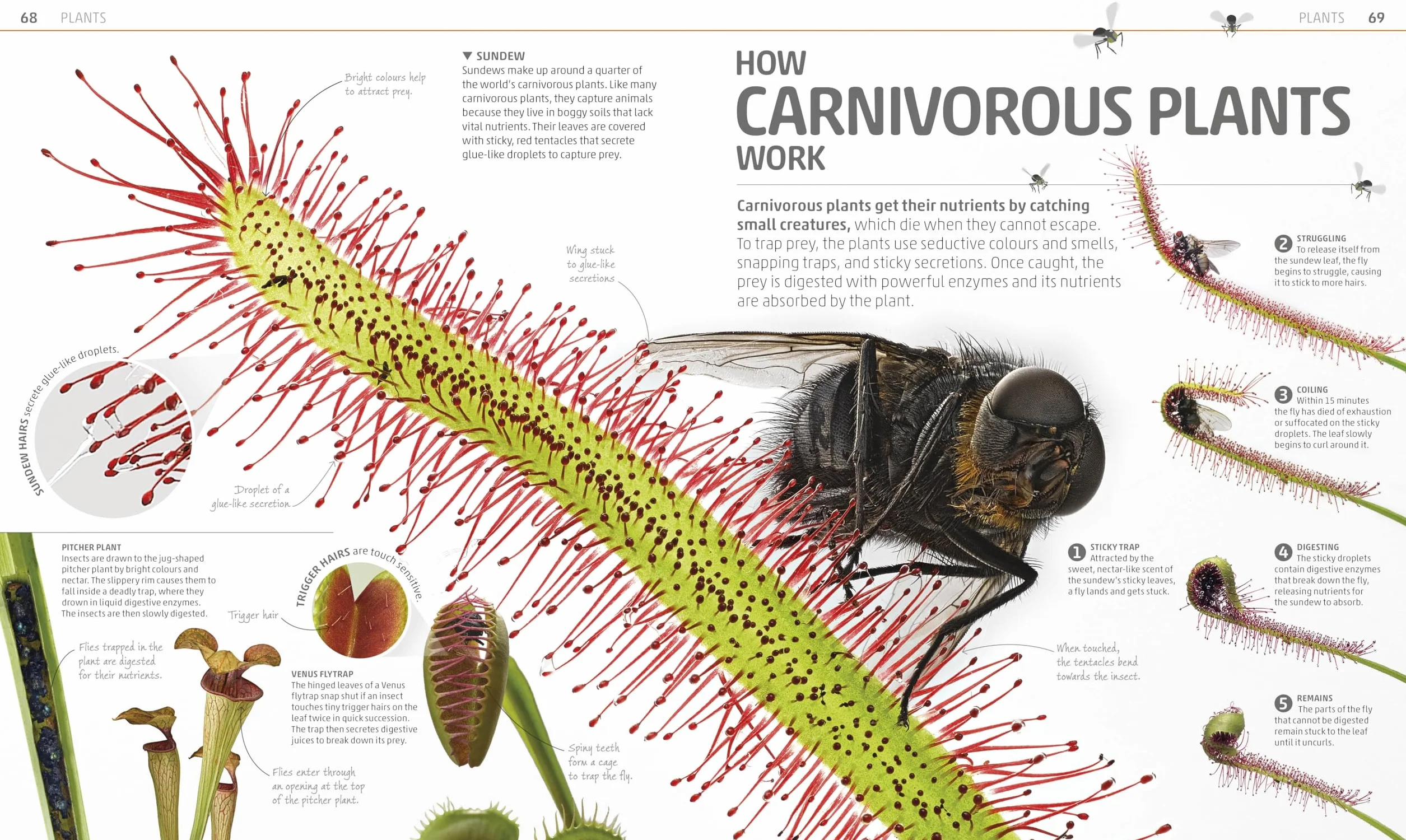 Explanatorium of Nature: Where the Wonders of the World are Revealed