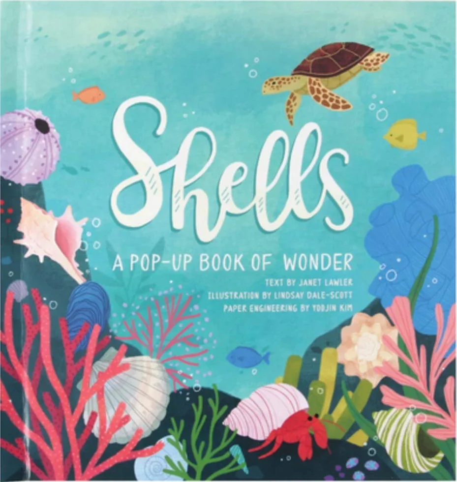 Shells: A Pop-Up Book of Wonder