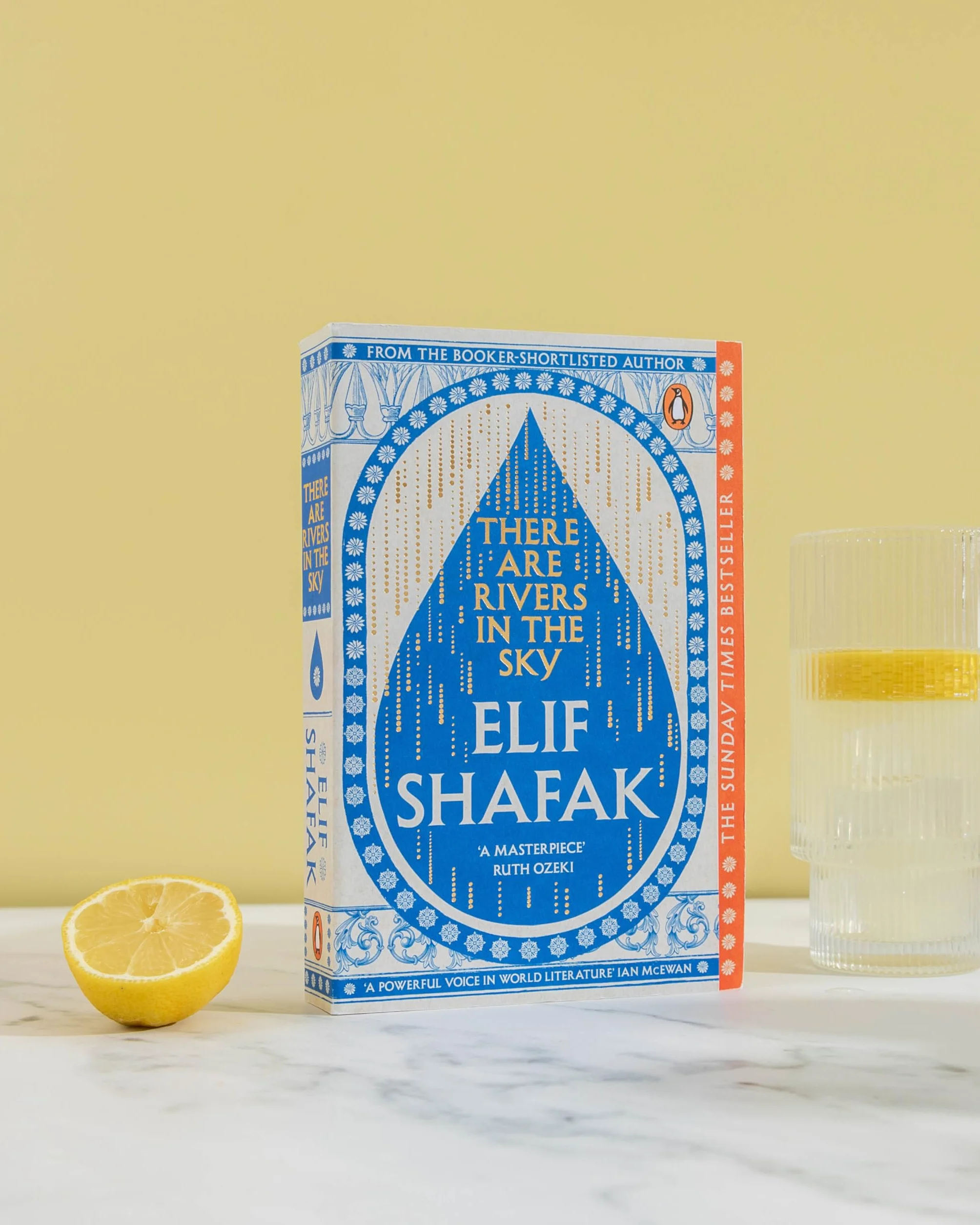 There Are Rivers in the Sky: Sunday Times Bestseller by Elif Shafak