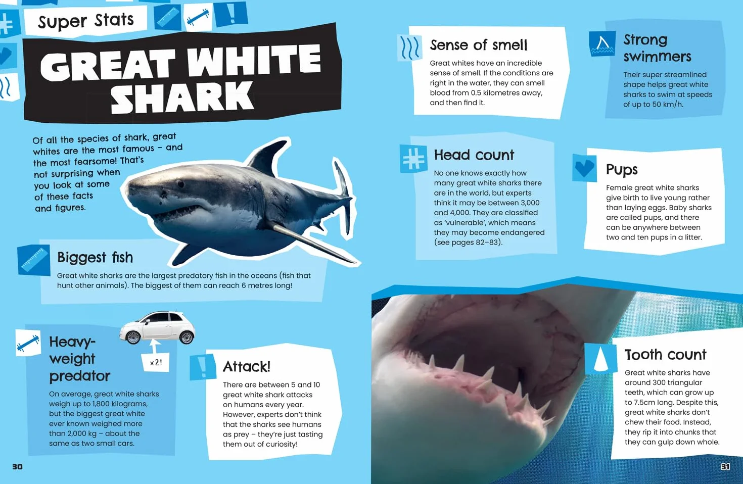 Animals: Discover fascinating facts about wildlife