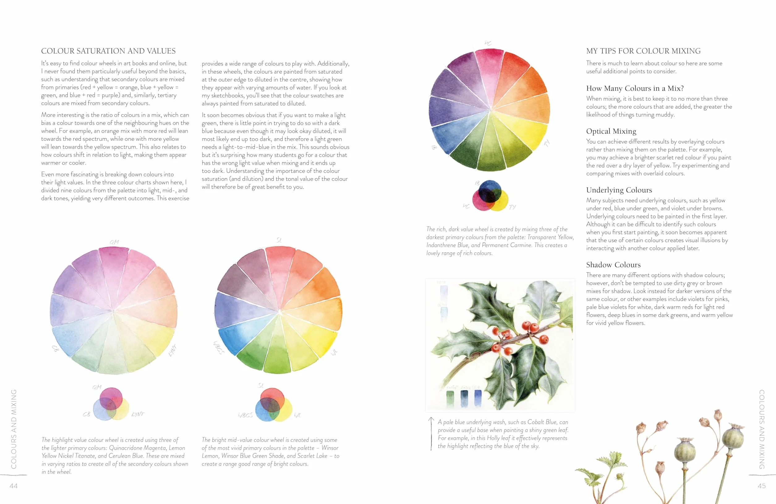 Sketching Nature: The Beginner's Guide to Keeping a Botanical Sketchbook