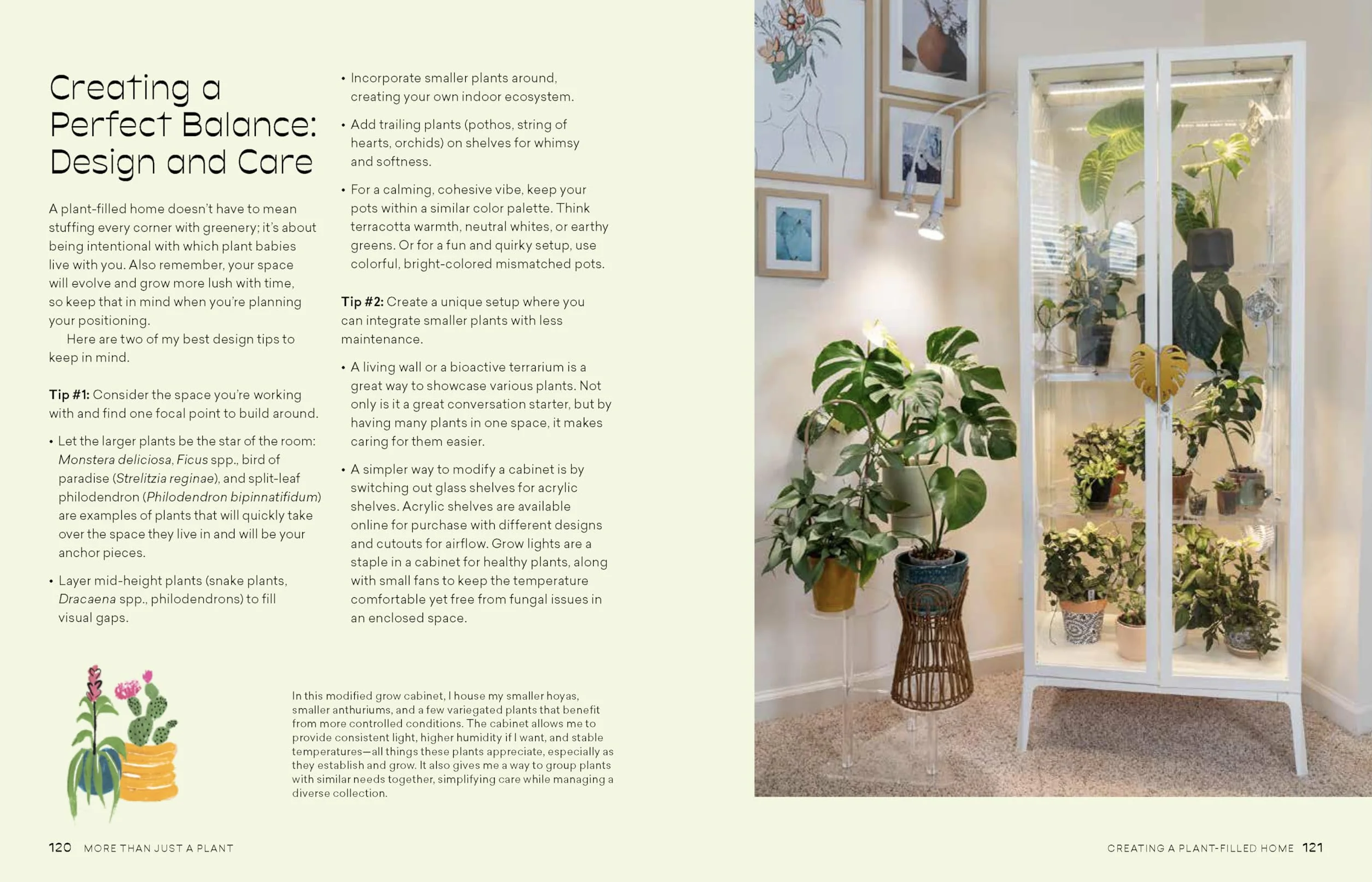 How to Care for Plants: Plant Care Guide