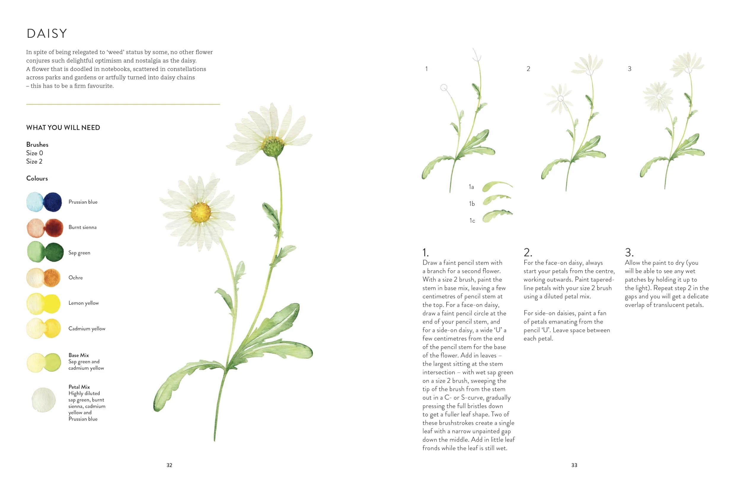 Botanical Painting