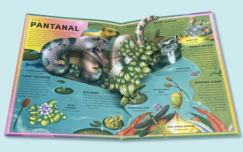 Pop-up Frog And Wetland Creatures