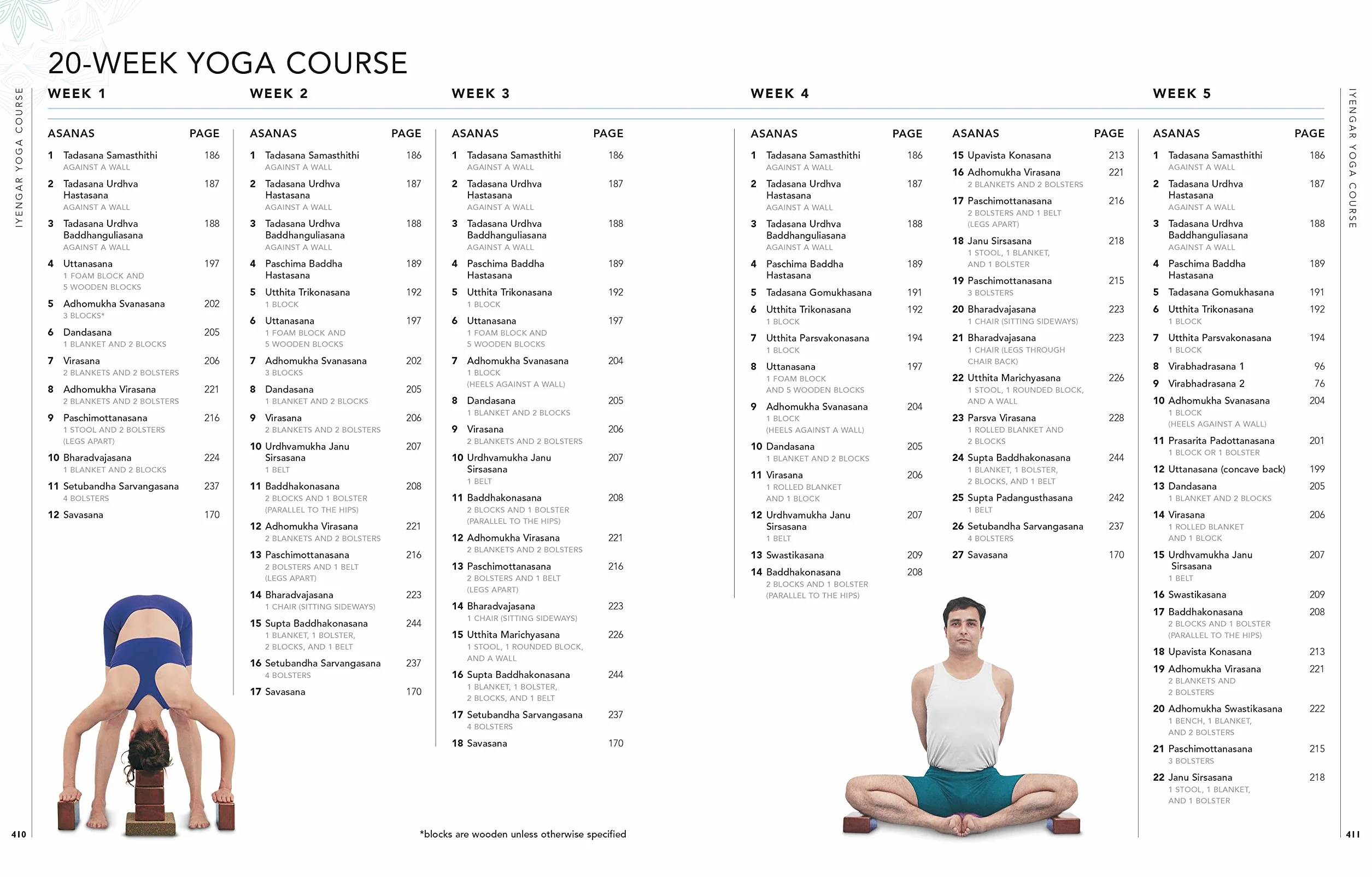 B.K.S. Iyengar Yoga The Path to Holistic Health: The Definitive Step-by-step Guide