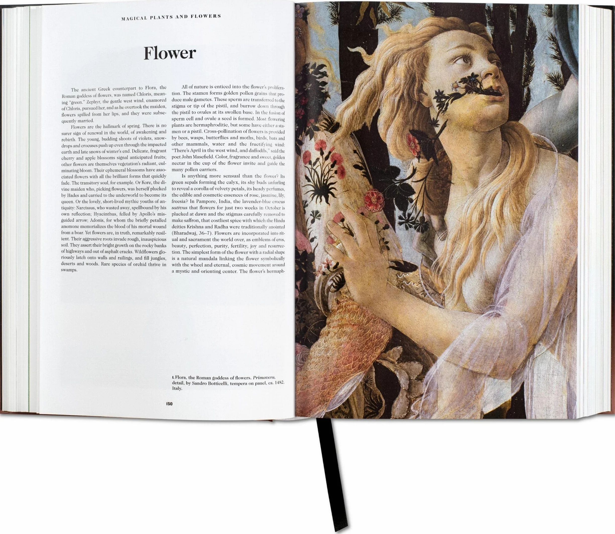 The Book of Symbols: Reflections on Archetypal Images