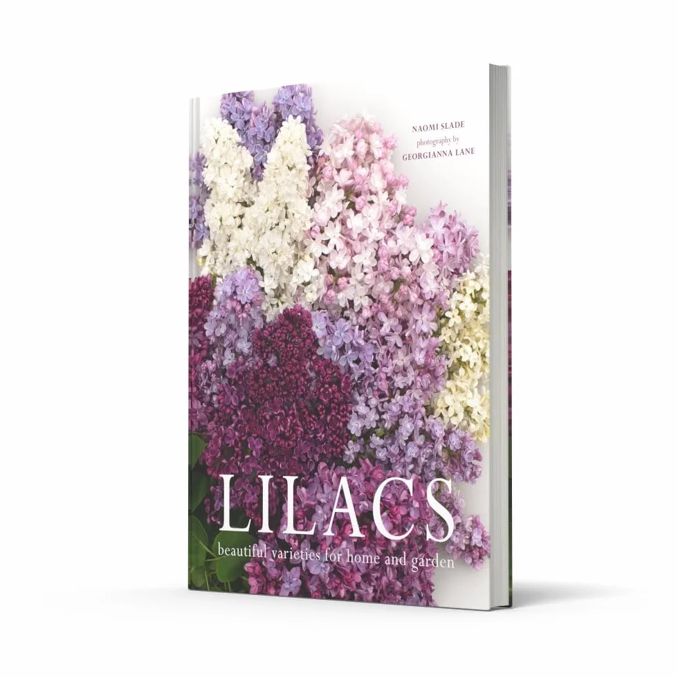 Lilacs: The Ultimate Flower Guide for Growing, Flowering & Cutting Varieties