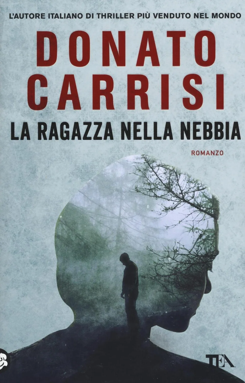 La ragazza nella nebbia: romanzo