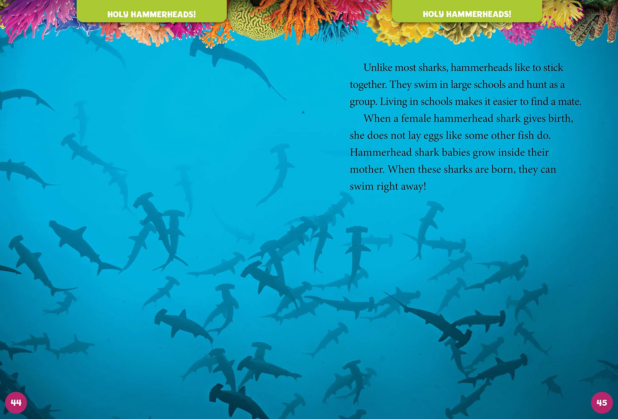 National Geographic Kids 5-Minute Shark Stories