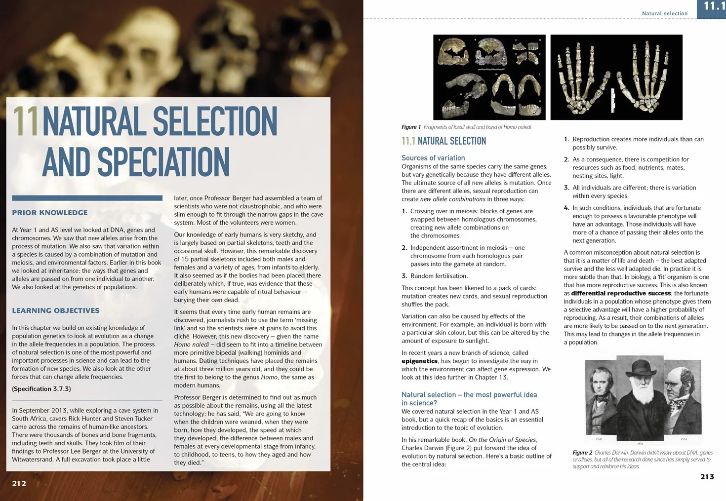 AQA A Level Biology Year 2 Student Book