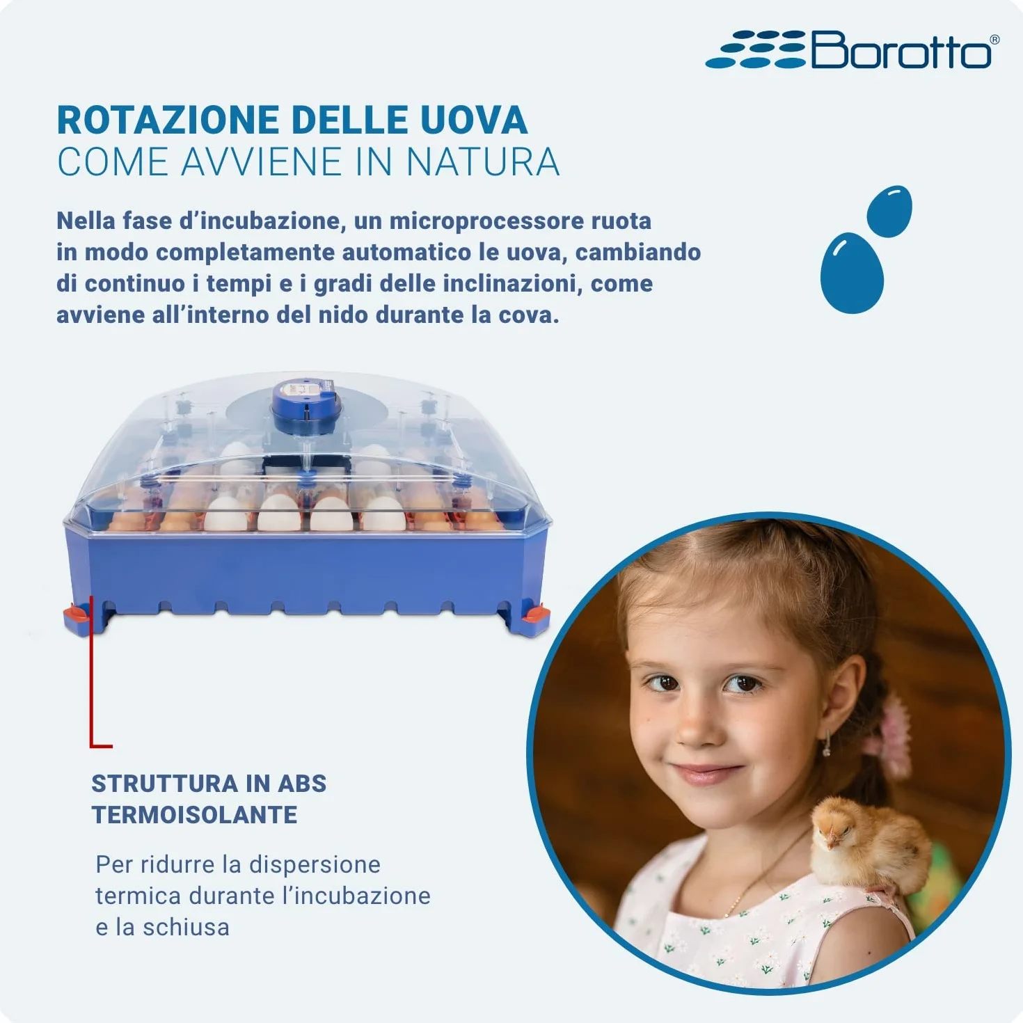 Borotto Lumia 56 automatyczny inkubator do jajek do 56 jajek lub 244 małych z automatycznymi obrotnikami i regulacją temperatury | Made in Italy