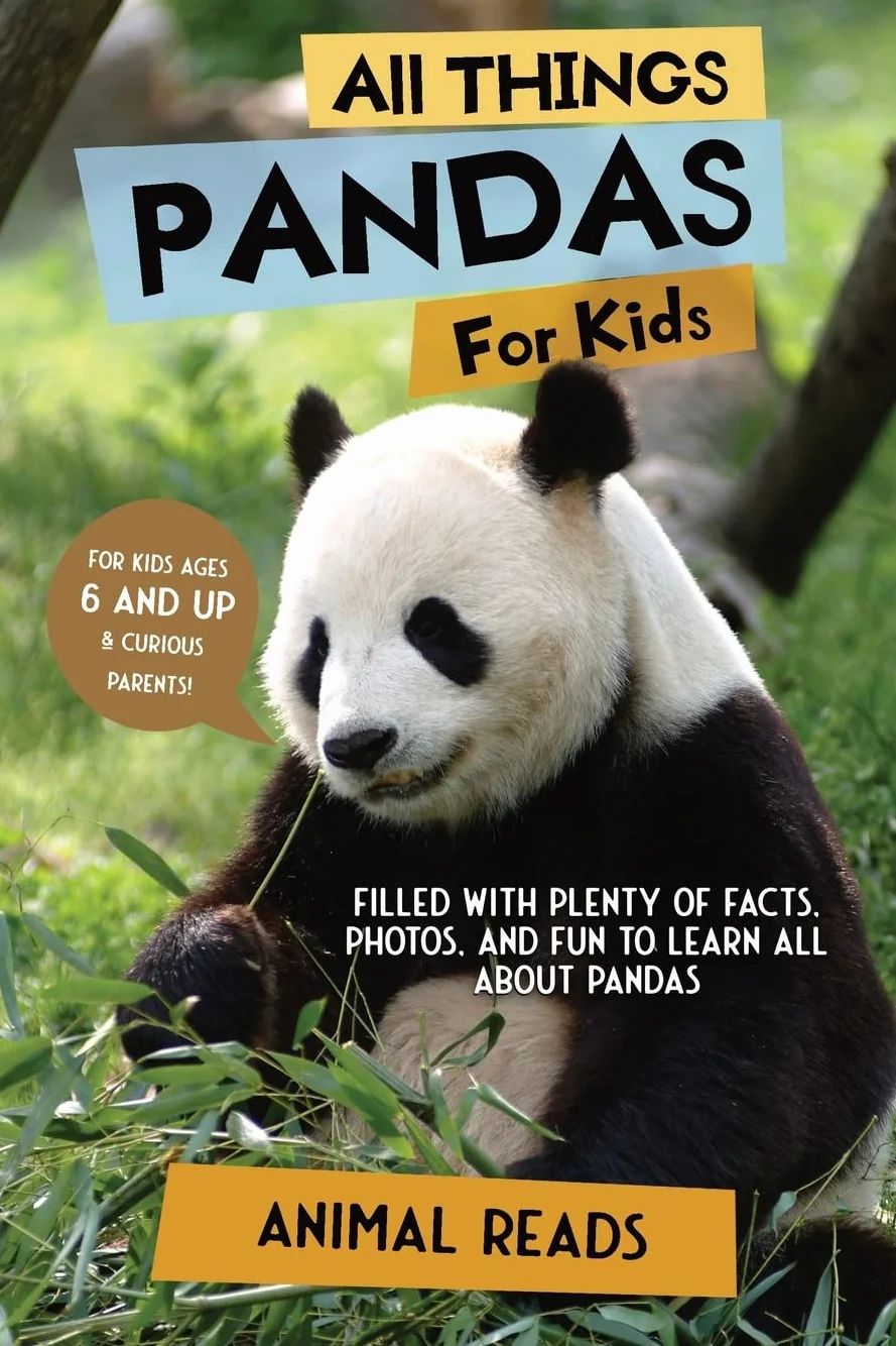 Pandas Facts Kids Book Photos Fun Learning