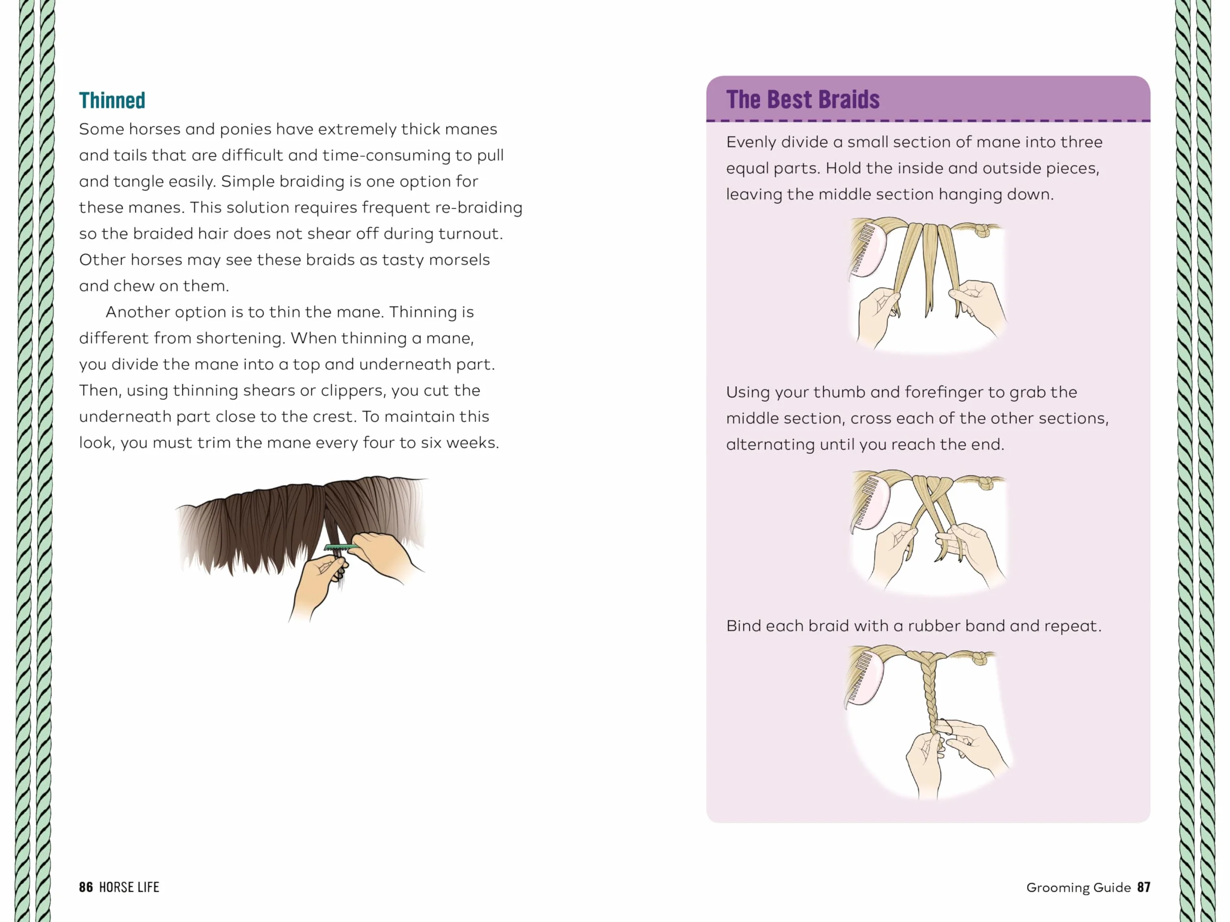 Horse Life: The Ultimate Guide to Caring for and Riding Horses for Kids
