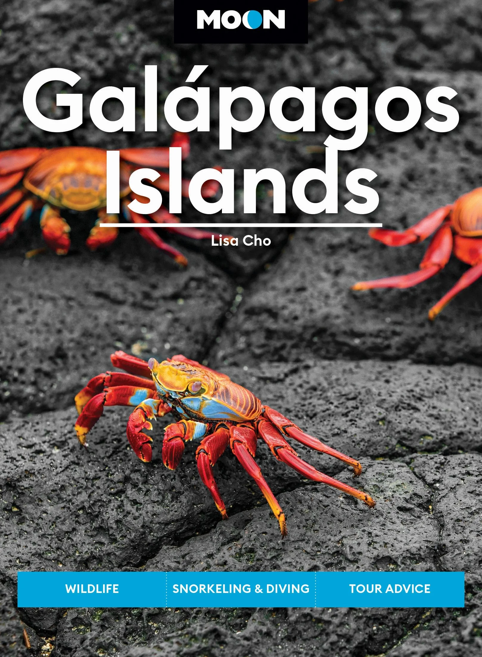 Moon Galápagos Islands: Wildlife, Snorkeling & Diving, Tour Advice