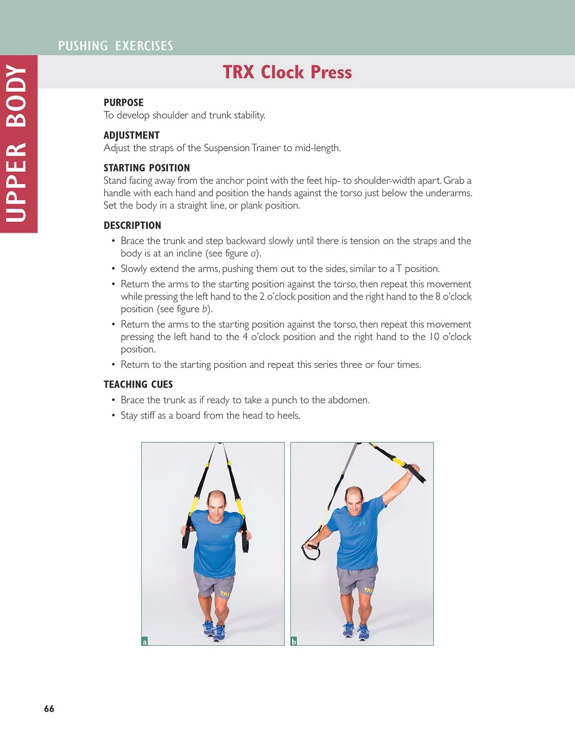 TRX Suspension Training: 100 Most Effective Exercises & 64 Programs