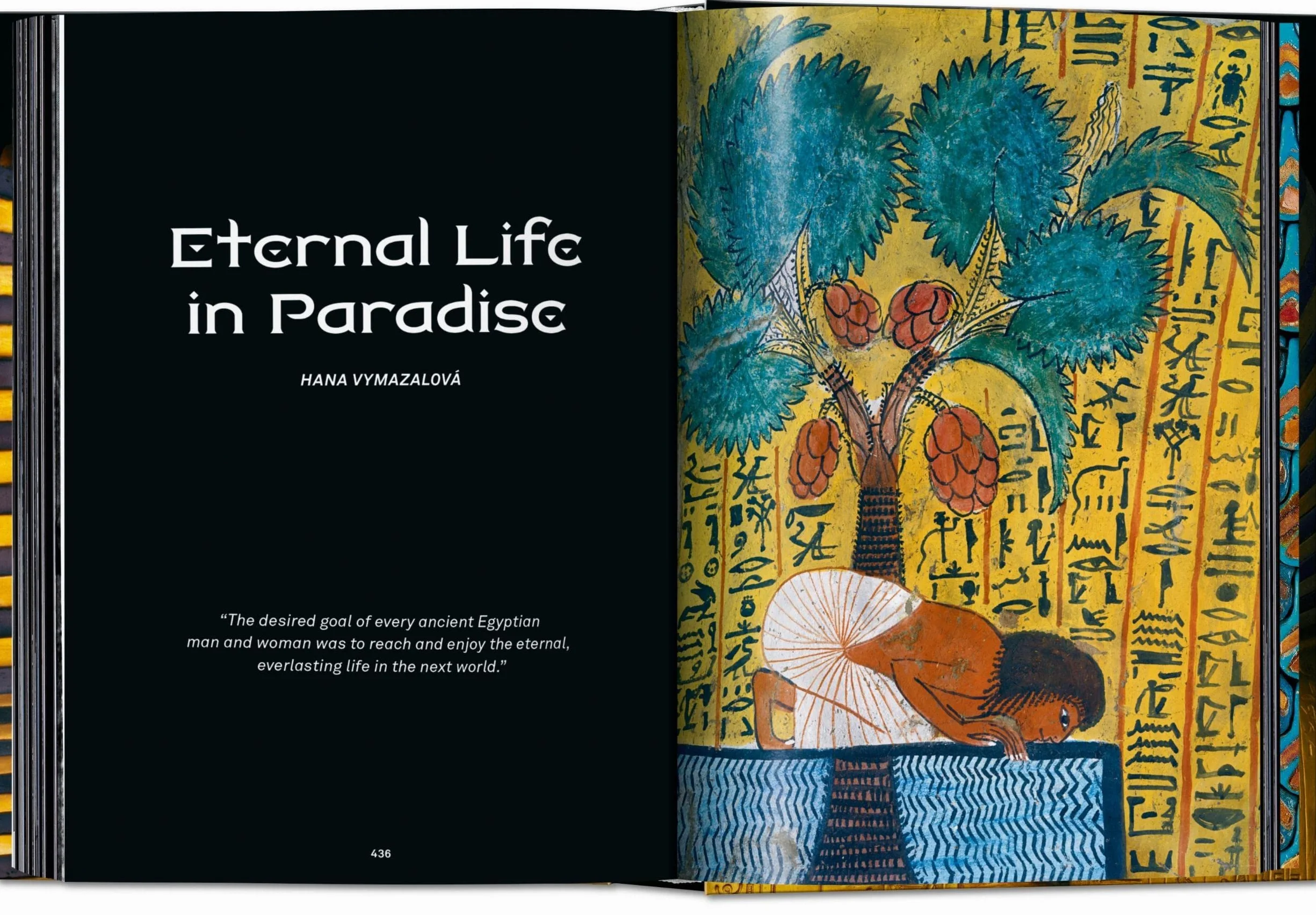 King Tut. the Journey Through the Underworld. 40th Ed.