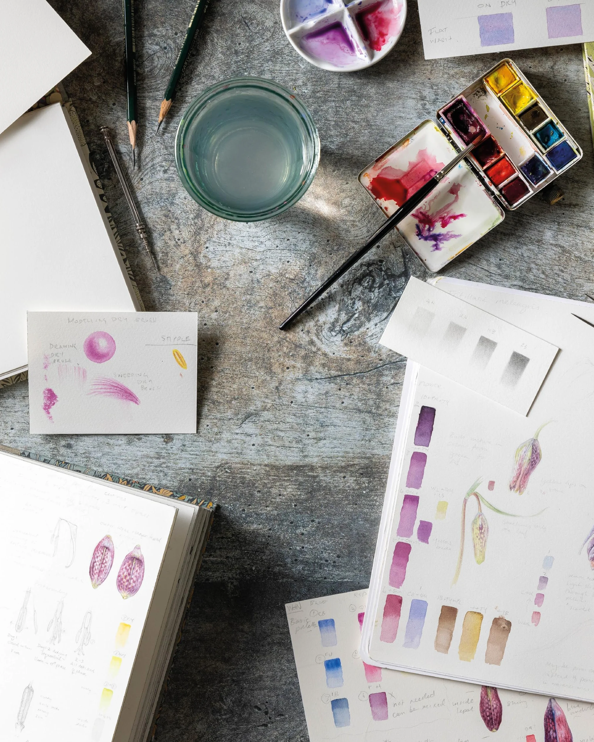 Sketching Nature: The Beginner's Guide to Keeping a Botanical Sketchbook