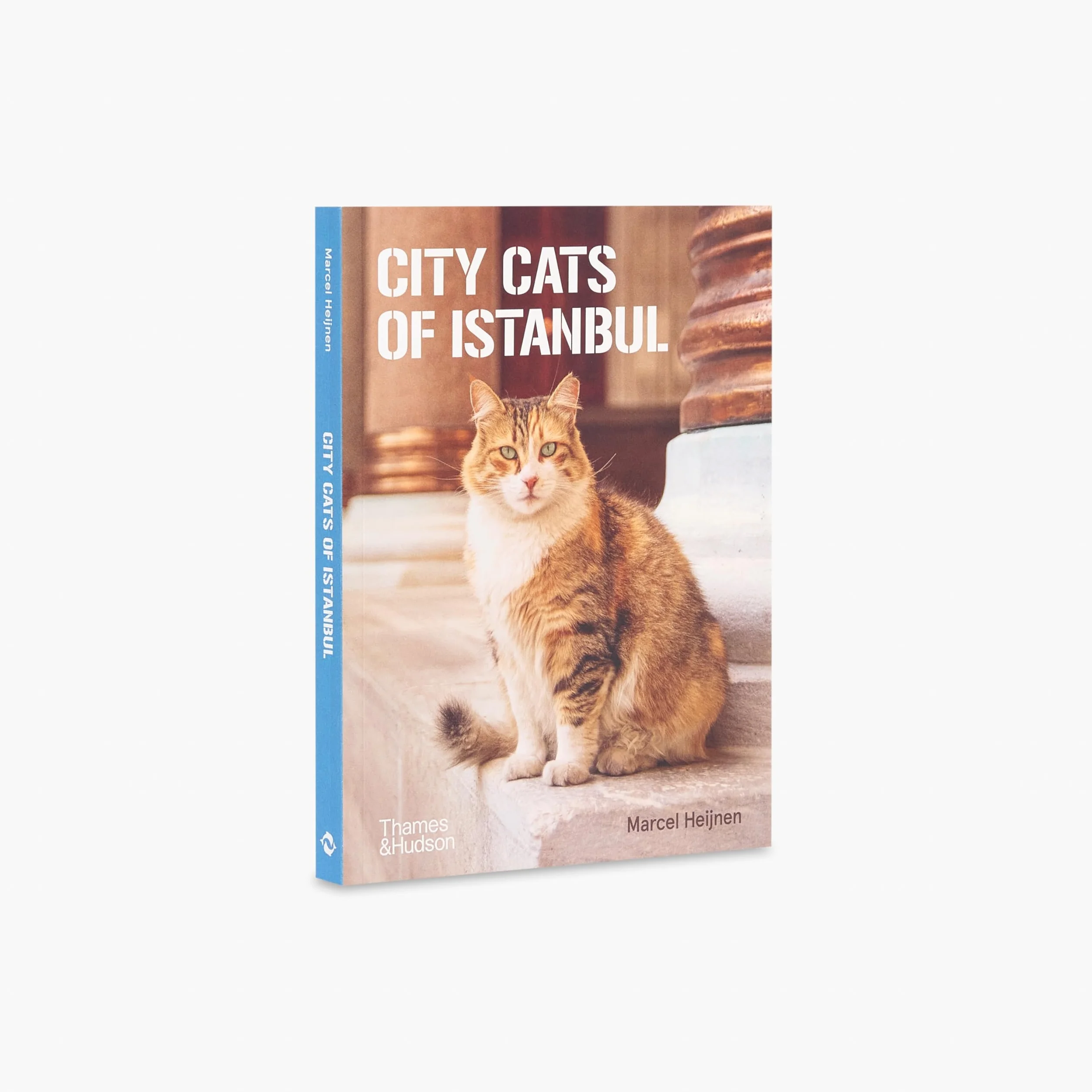 City Cats of Istanbul /anglais