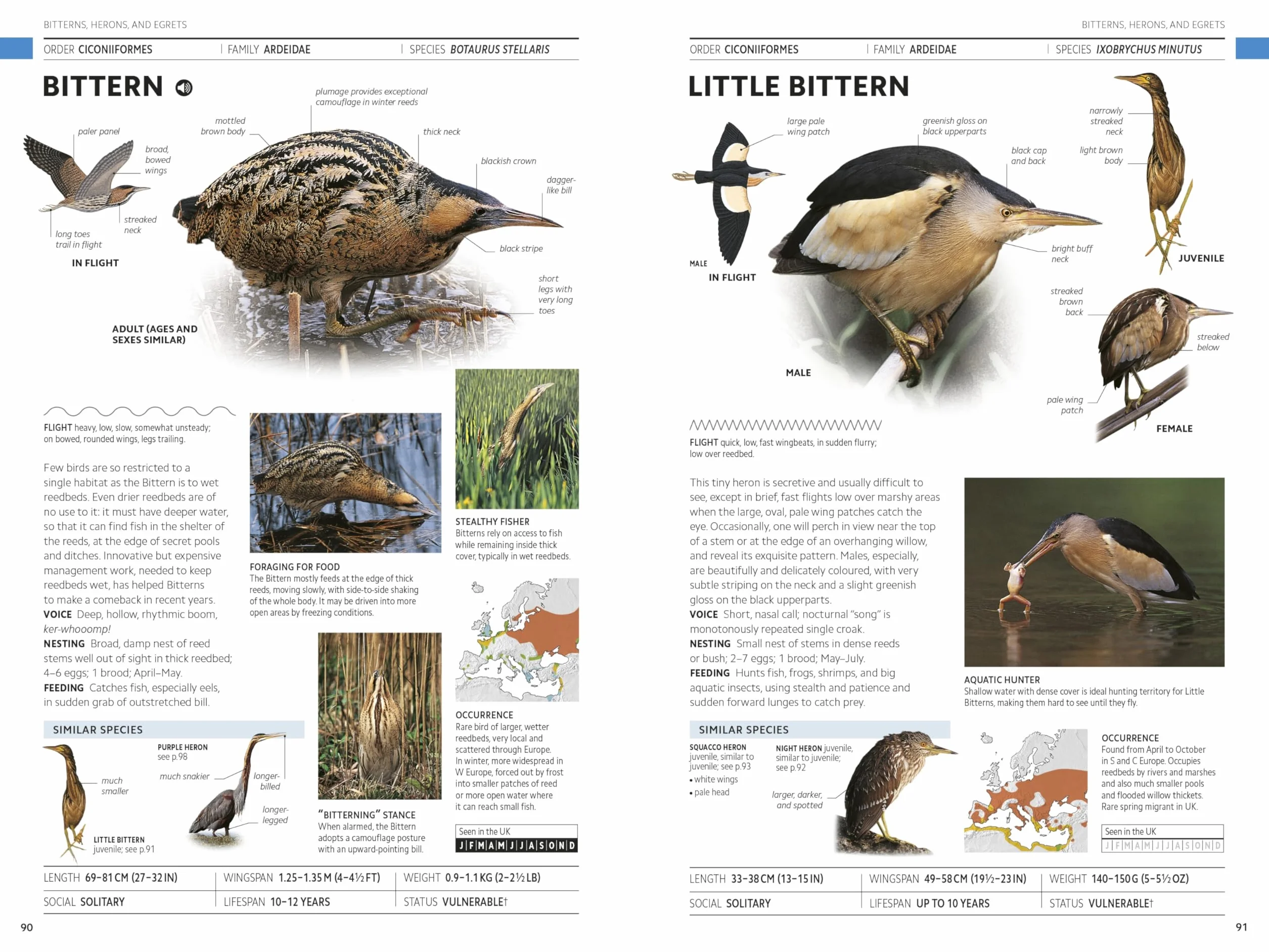 Rspb Birds of Britain and Europe: The Definitive Photographic Field Guide