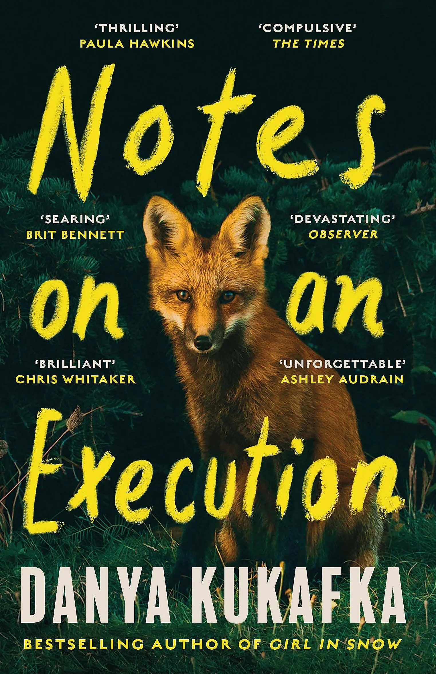 Notes on an Execution: Thriller