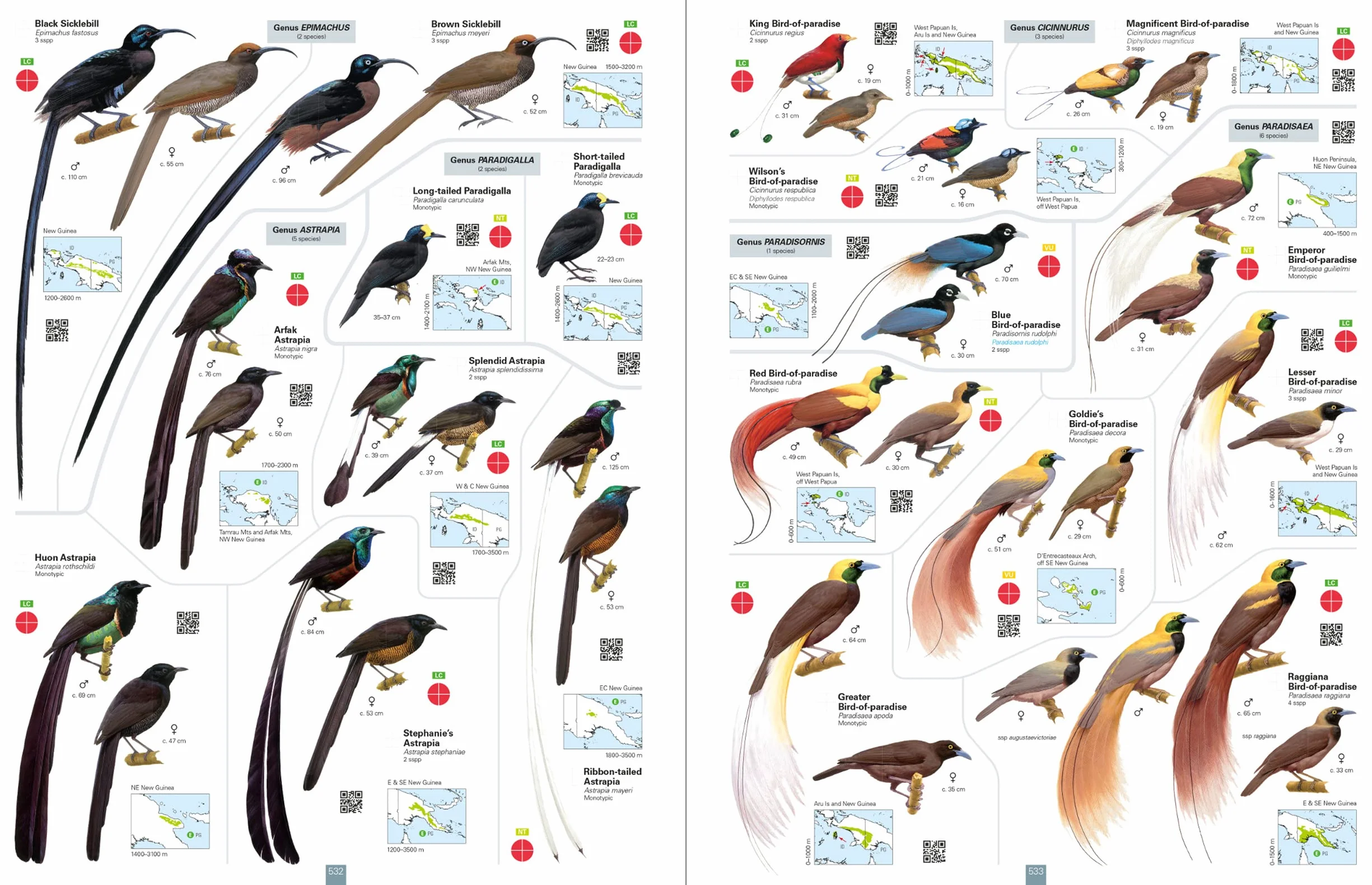 All the Birds of the World