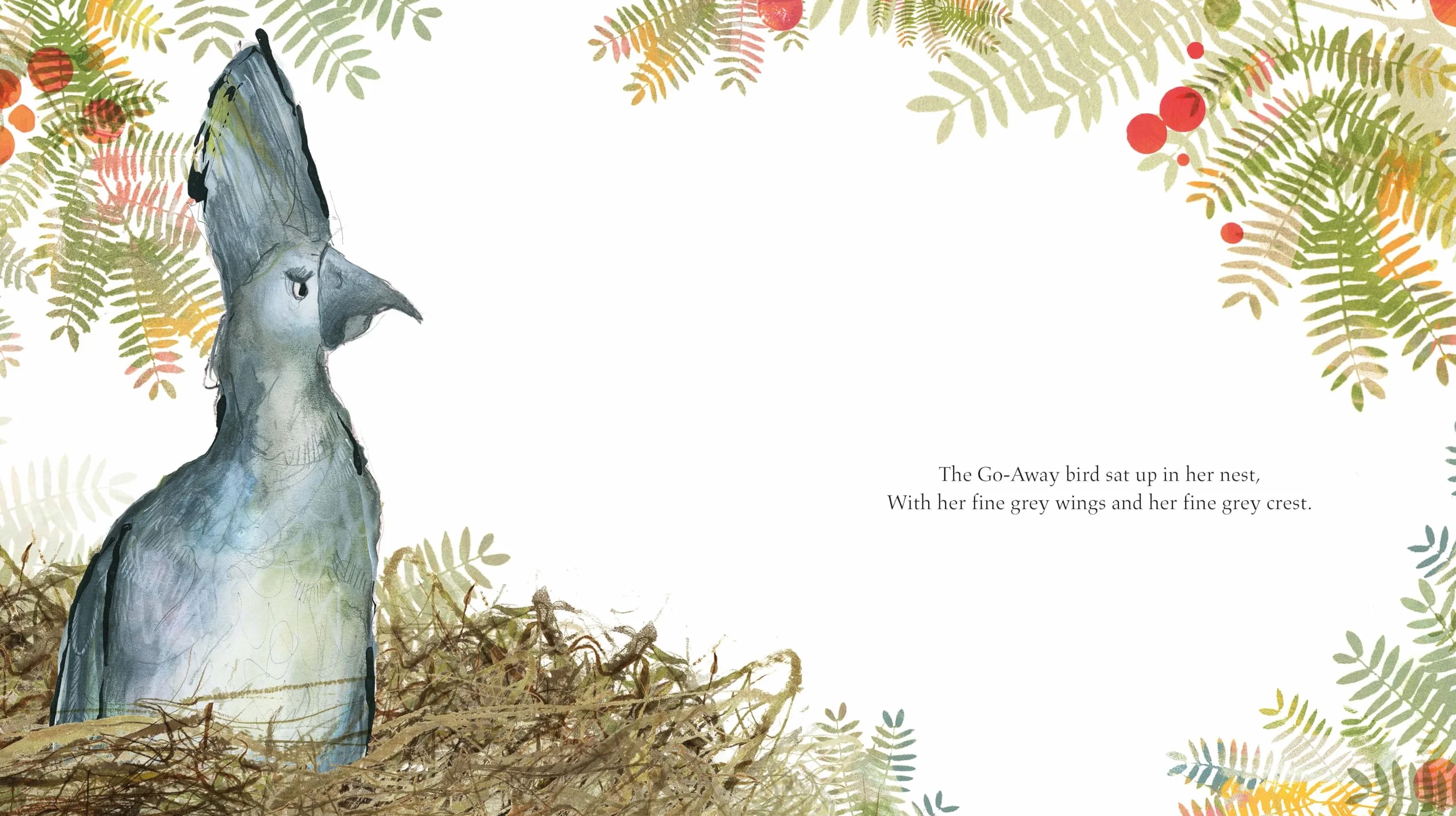 The Go-Away Bird