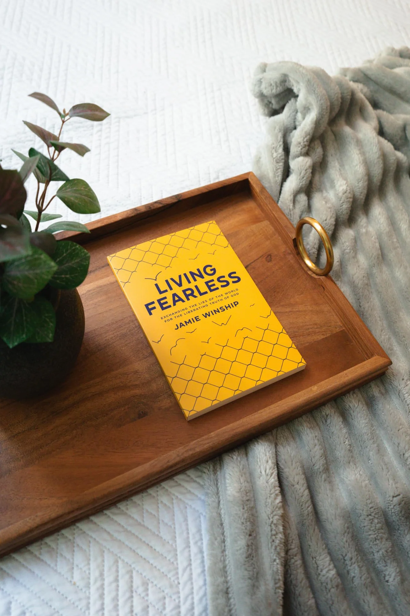 Living Fearless: Exchanging the Lies of the World for the Liberating Truth of God