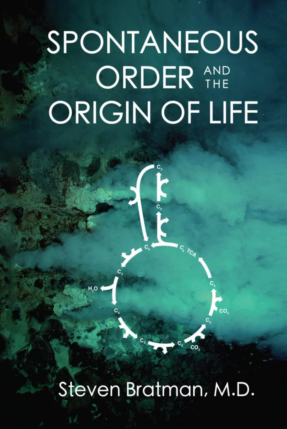 Spontaneous Order and the Origin of Life