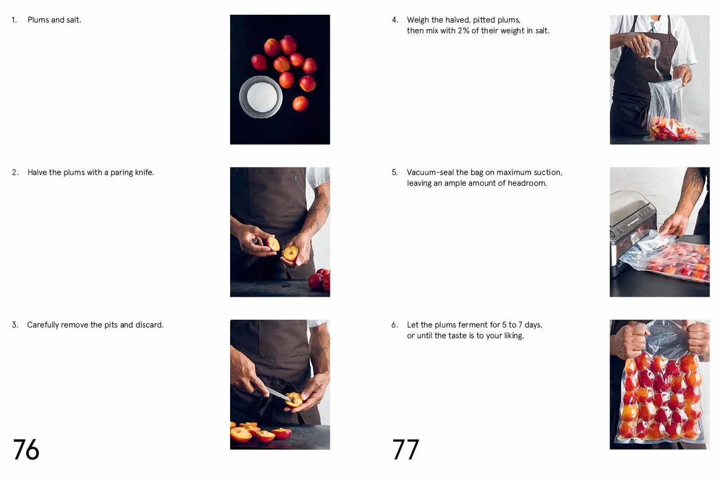 The Noma Guide to Fermentation: Koji, Kombuchas, Shoyus, Misos, Vinegars, Garums, Lacto-Ferments, Black Fruits & Vegetables