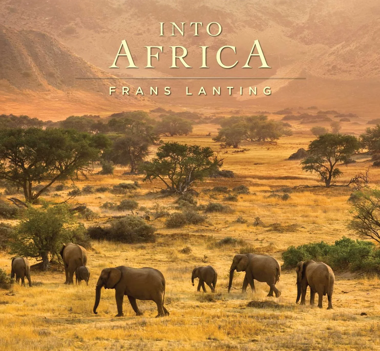 Into Africa
