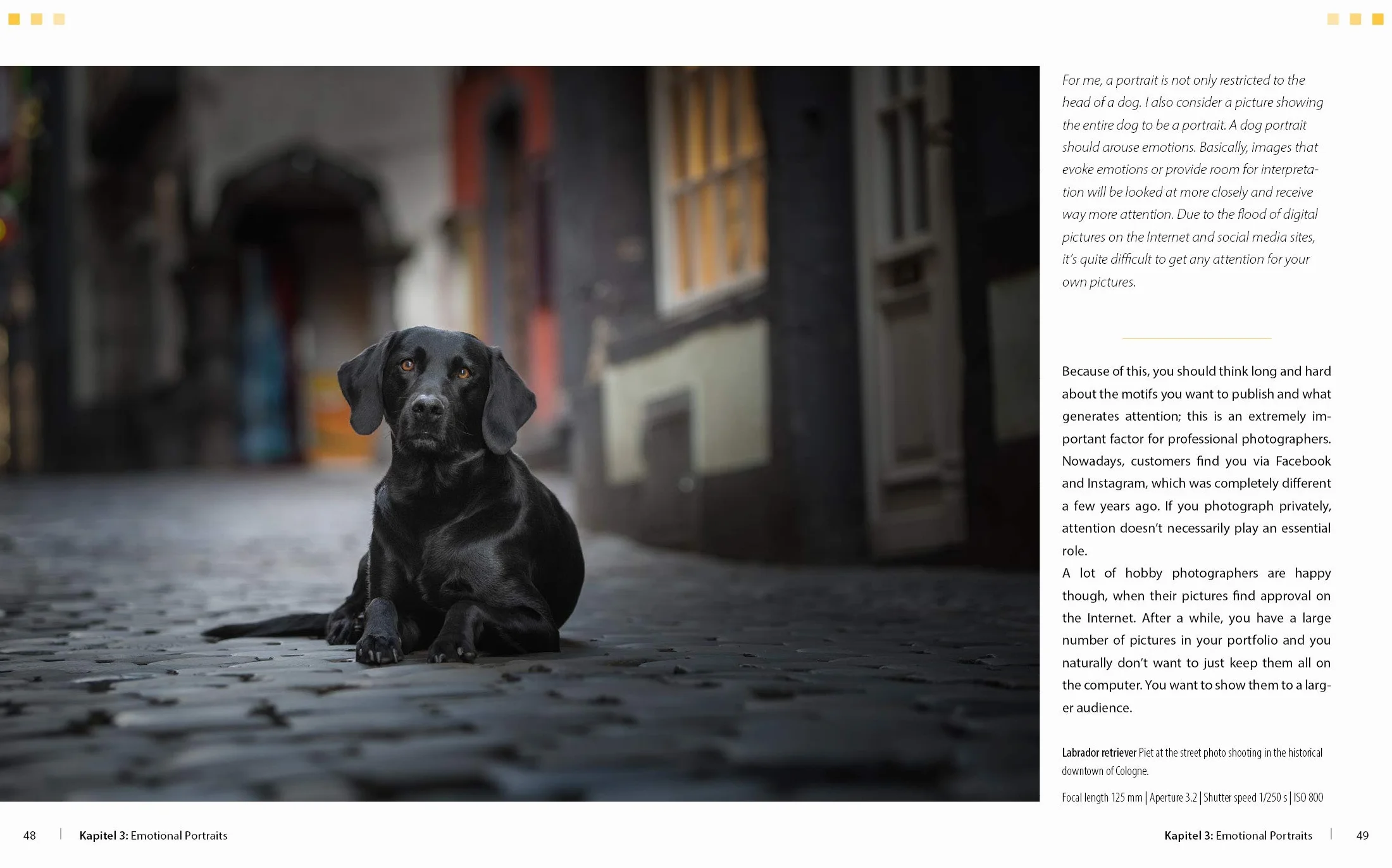 Dog Photography Shooting with Bow Wow Effect
