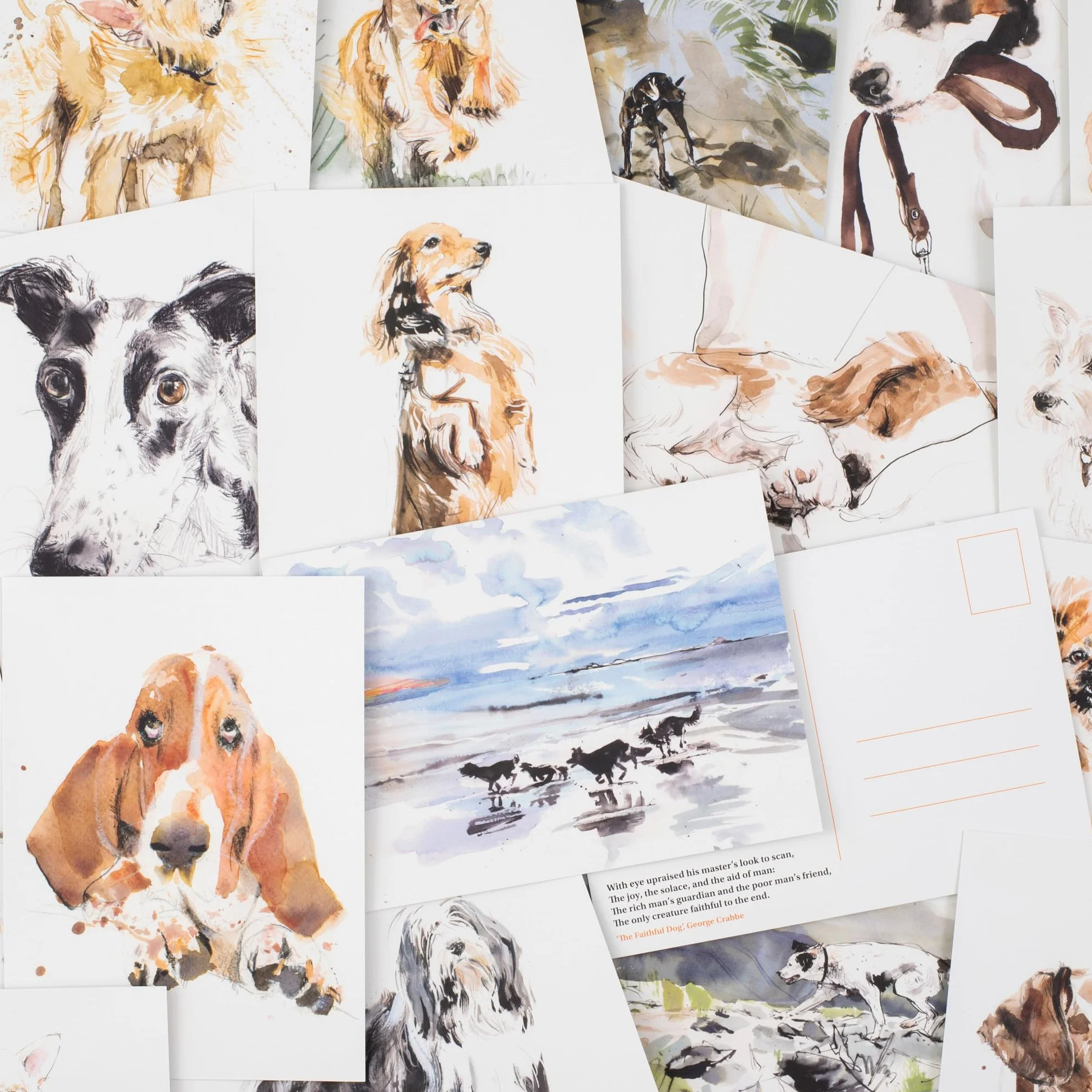 For the Love of Dogs: 25 Postcards