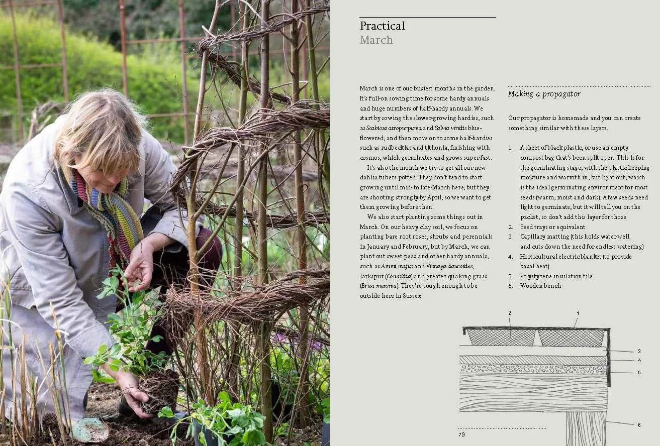 A Year Full of Flowers: Gardening for all seasons