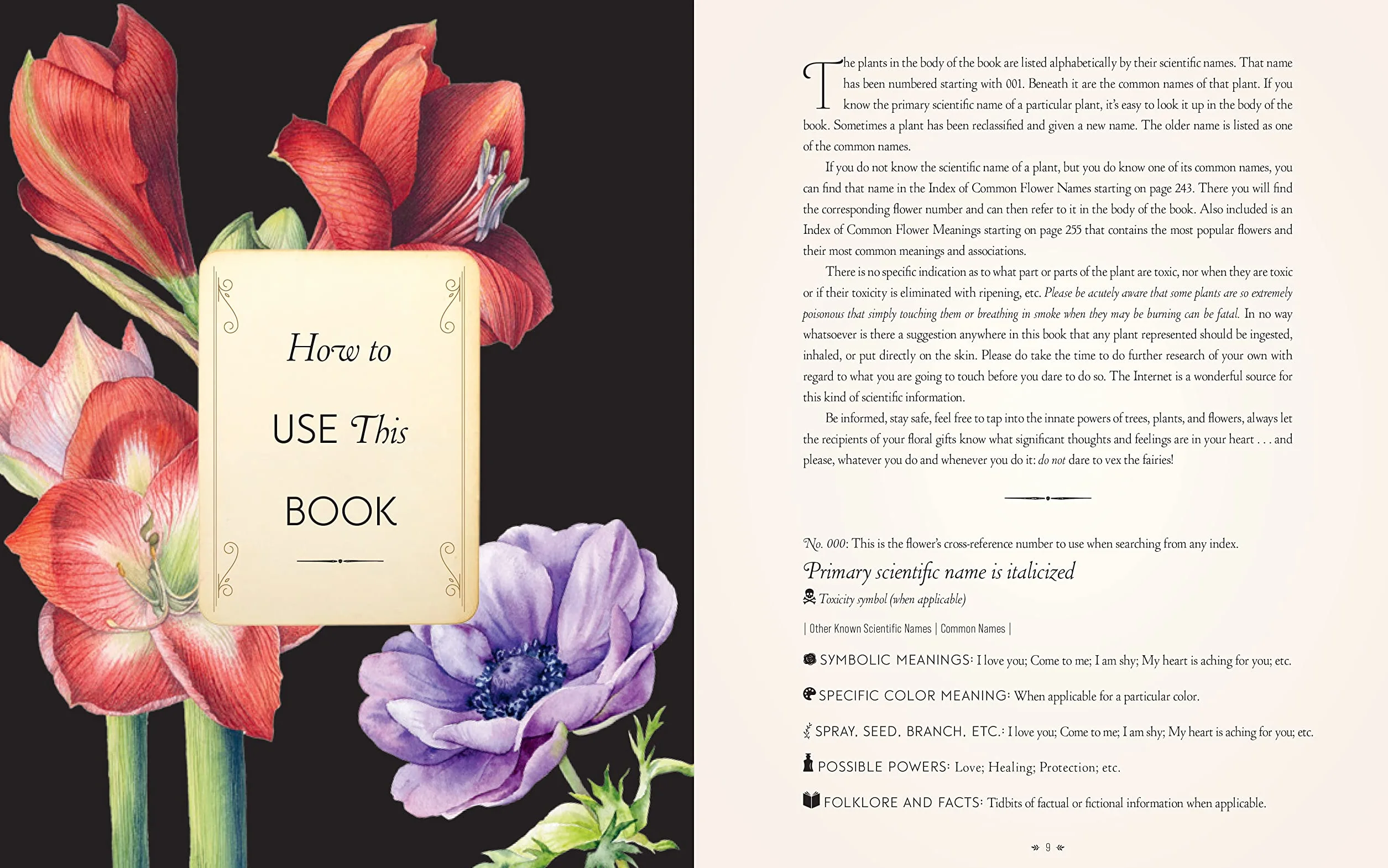The Complete Language of Flowers: A Definitive and Illustrated History - Pocket Edition
