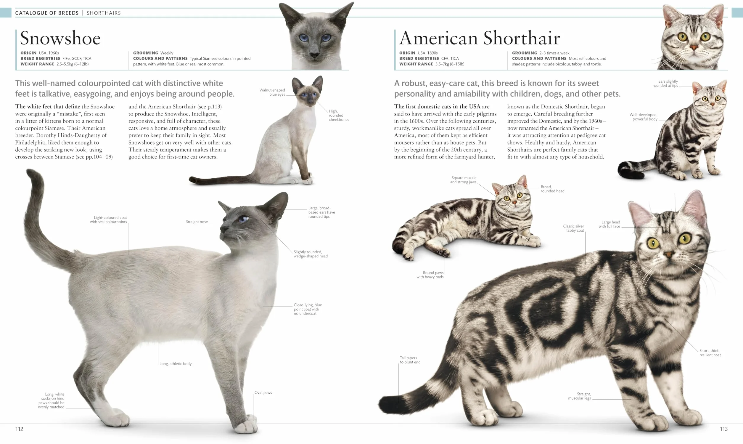 The Cat Encyclopedia: The Definitive Visual Guide