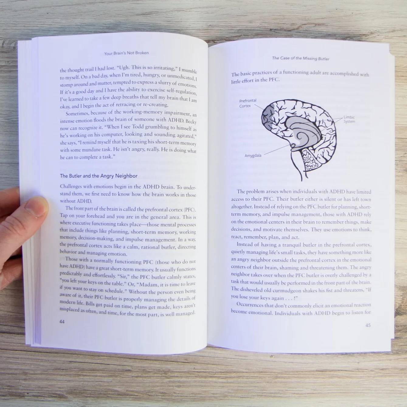 Your Brain's Not Broken: Strategies for Navigating Emotions and Life with ADHD