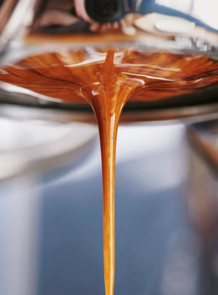 Barista sapiens. La guida definitiva all'espresso e al cappuccino perfetti