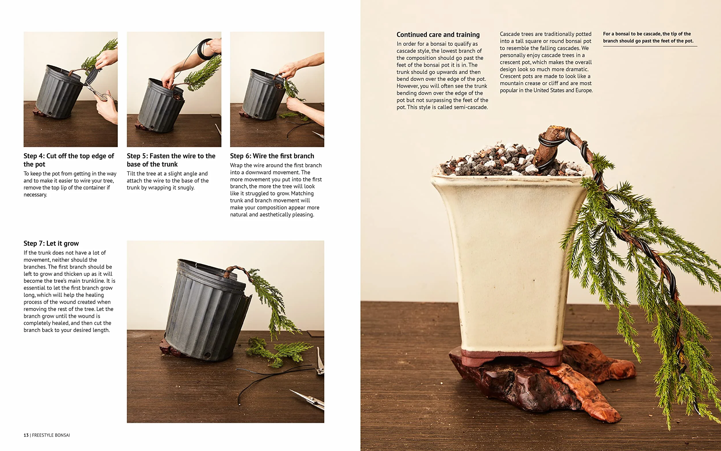 Freestyle Bonsai: How to Pot, Grow, Prune, and Shape - Bend the Rules of Traditional Bonsai
