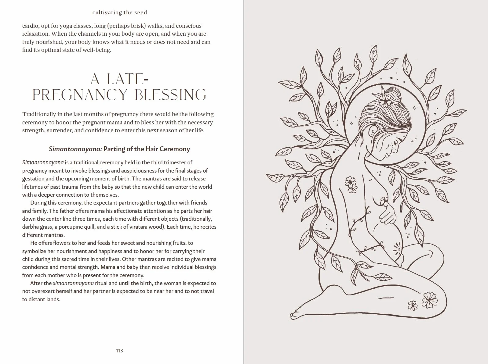Ayurveda Mama: A Comprehensive Guide to Preparing for Pregnancy, Birth, and Postpartum