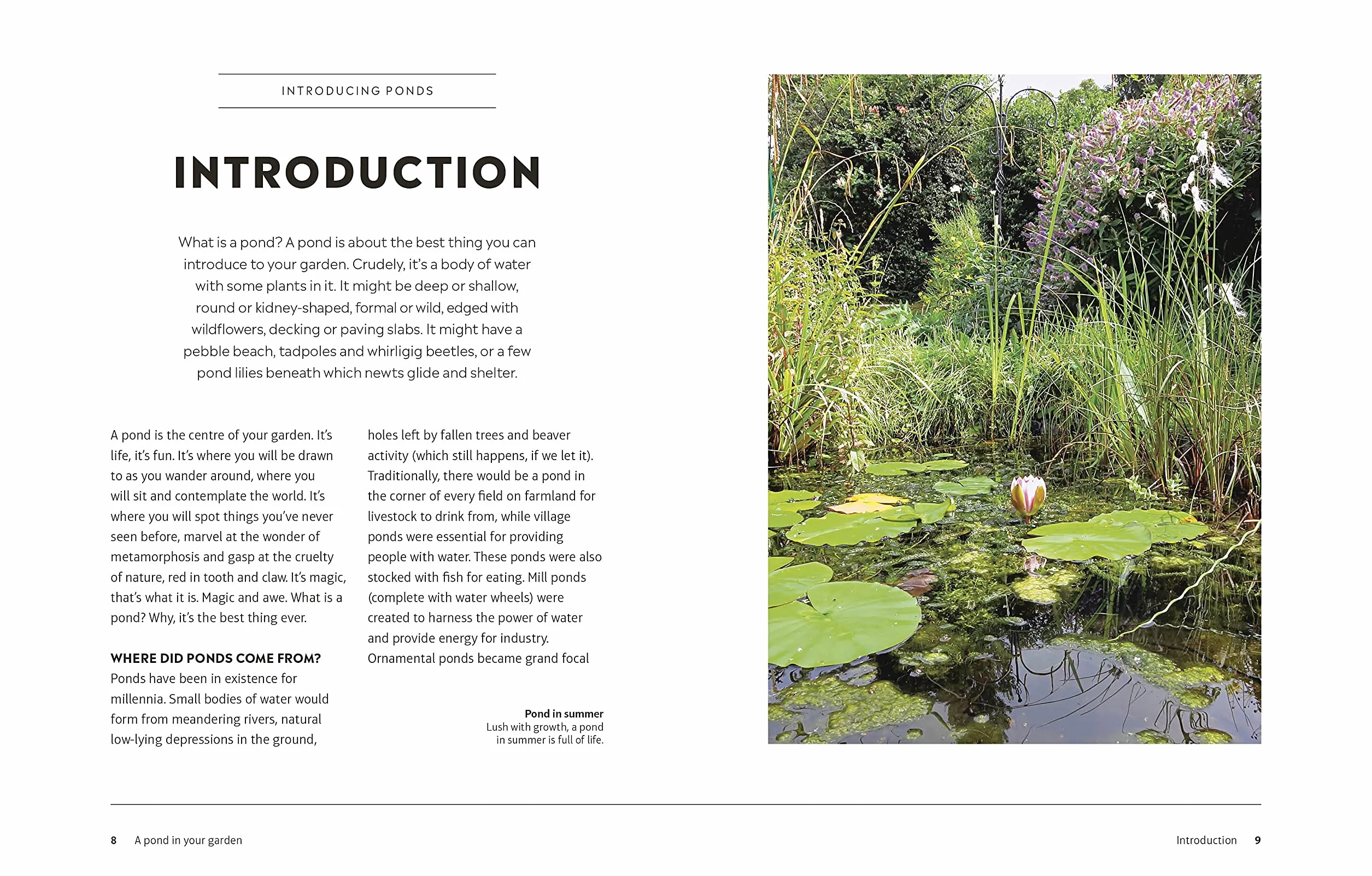 RHS How to Create a Wildlife Pond: Plan, Dig, and Enjoy a Natural Pond