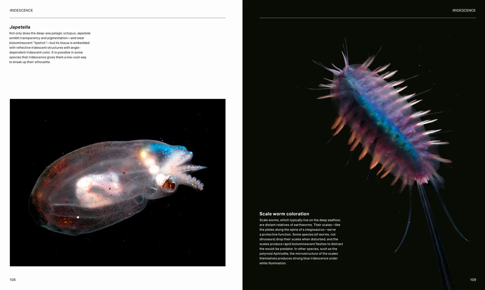 The Radiant Sea: Color and Light in the Underwater World