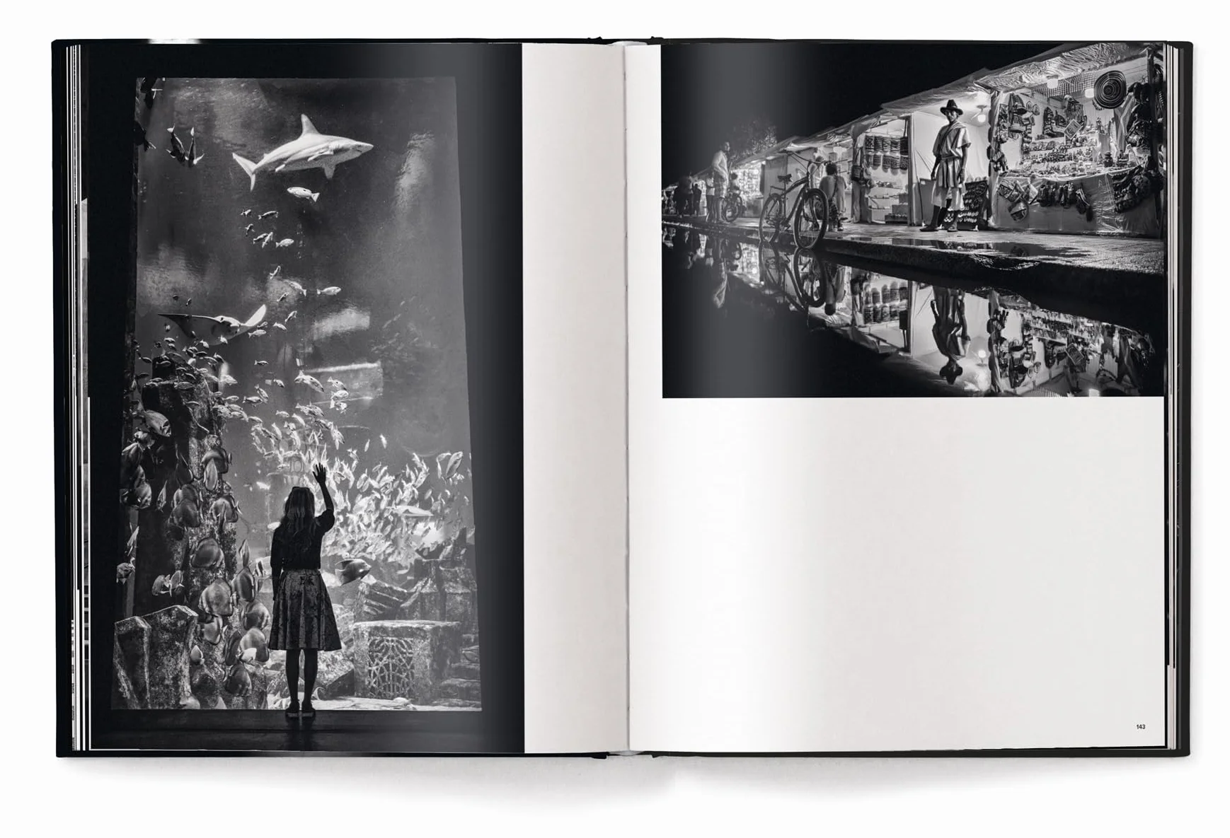 Alan Schaler Metropolis anglais